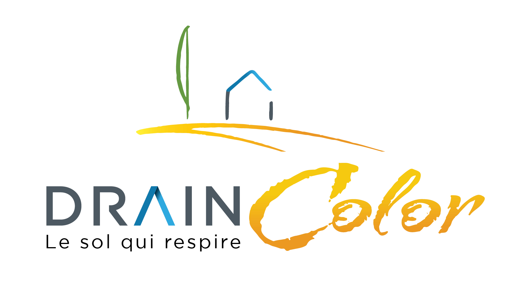 Draincolor Logo