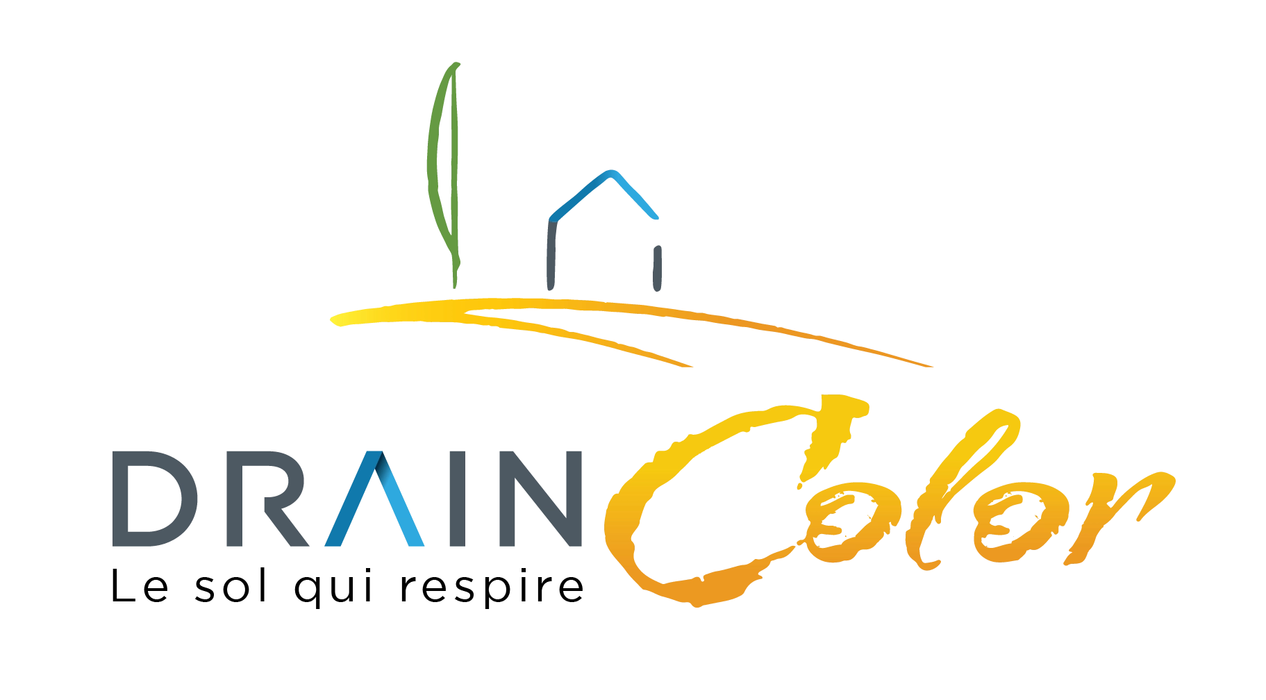 DrainColor Logo